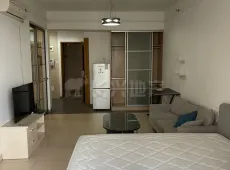 顺德区|佛奥康桥水岸1室1厅1卫出租