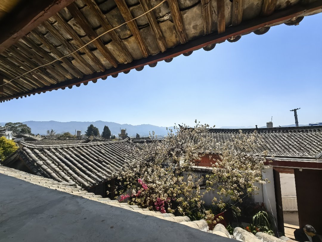 北门坡庭院,北门坡文庙巷占地200平看庭院200万出售4