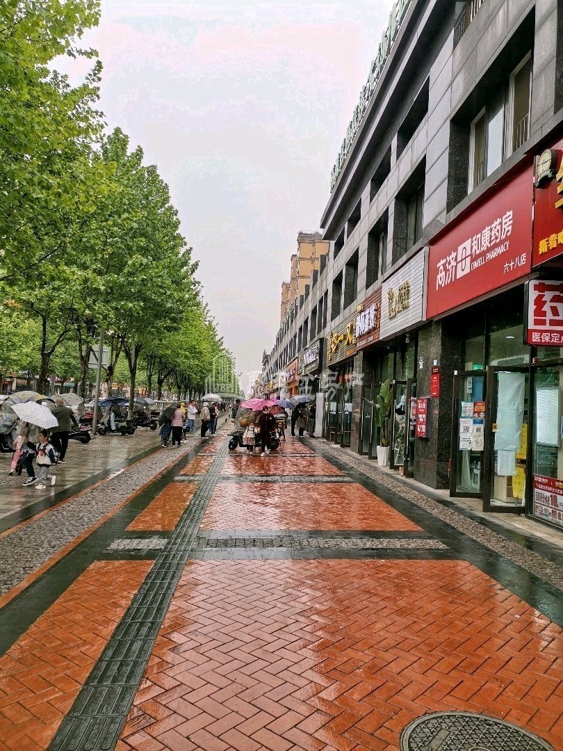 雨城区城东精装-室-厅-卫二手房出售5