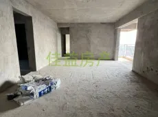 洪雅县|置地财富广场3室2厅2卫出售