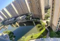 森林国际城，大面积，好楼层10