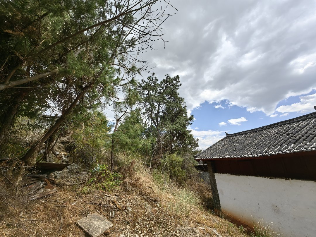 北门坡庭院,北门坡观景庭院 占地280平 空地500平左右 420万7