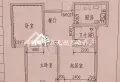 送储 精装修 送固定家具家电 看房约13