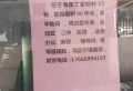 丁香15/101/2000/31