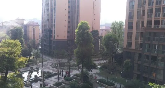 公园一号楼盘图片3