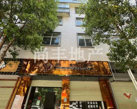 鸡街新区-室-厅-卫朝东西普通