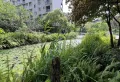 蝴蝶谷电梯房，住家户，西南朝向，不临街12