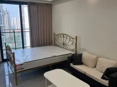龙湖区|海璟天翡1室1厅1卫出租