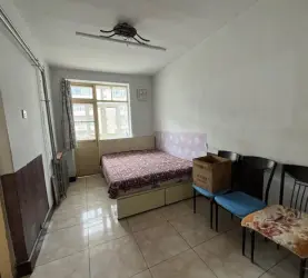 桥西区-下东营小学-下东营小区