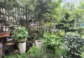 北京路市一中博物馆旁上海城，古朴典雅三室，带190平花园17