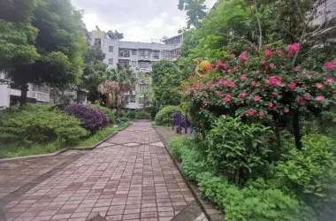 子昂金都出租房源