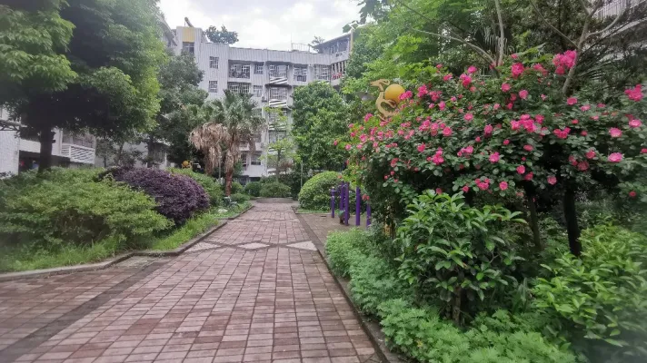 精装3室2厅1卫1阳台地铁沿线超值因房子小换大，超值地