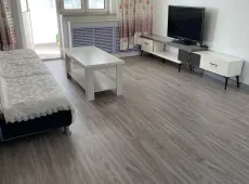 昌吉市|艺园小区2室2厅1卫出租