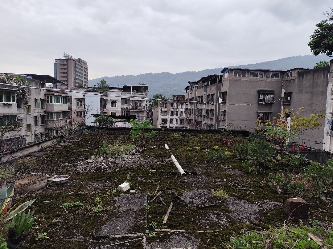 雨城区雨城精装3室2厅1卫二手房出售11