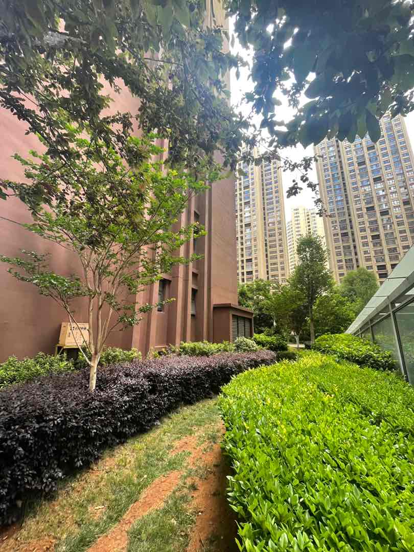 麒麟区南片区毛坯3室2厅2卫二手房出售14