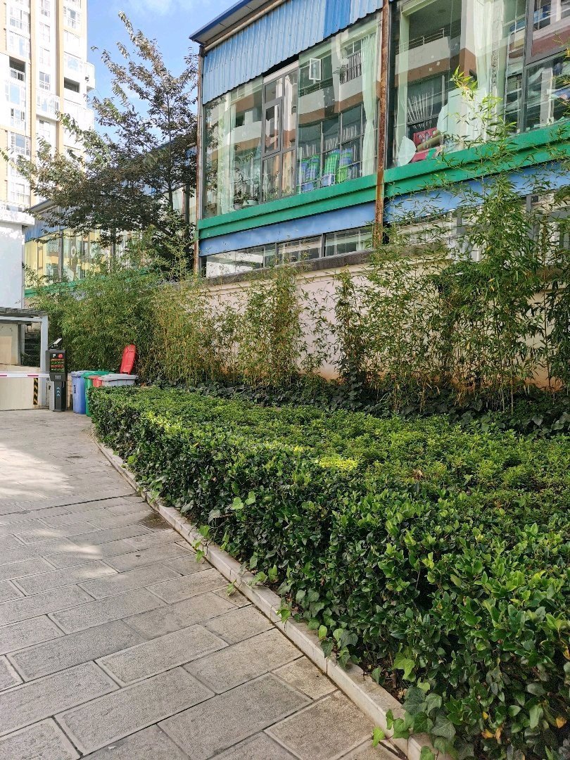 麒麟区南片区普通3室2厅2卫二手房出售12