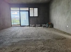 宜丰县|福临新城4室2厅2卫出售