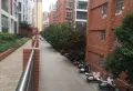 4室2厅2卫2阳台，拎包入住，精装修 采光好16