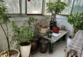 精品好房，楼层好，视野广，中药材家属院3室2厅1卫1阳台！4