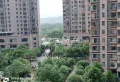 正中朝南采光好，大三房，房产证满两年可按揭。4