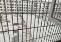 城西农贸市场 装修保养好拎包入住 老证11