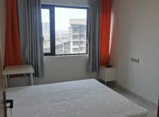 东坡区|阳光1519临江邸3室2厅2卫出租