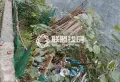 原南江砖厂宅基地 前后7米宽！！4
