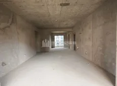 澧县|大汉新城4室2厅2卫出售