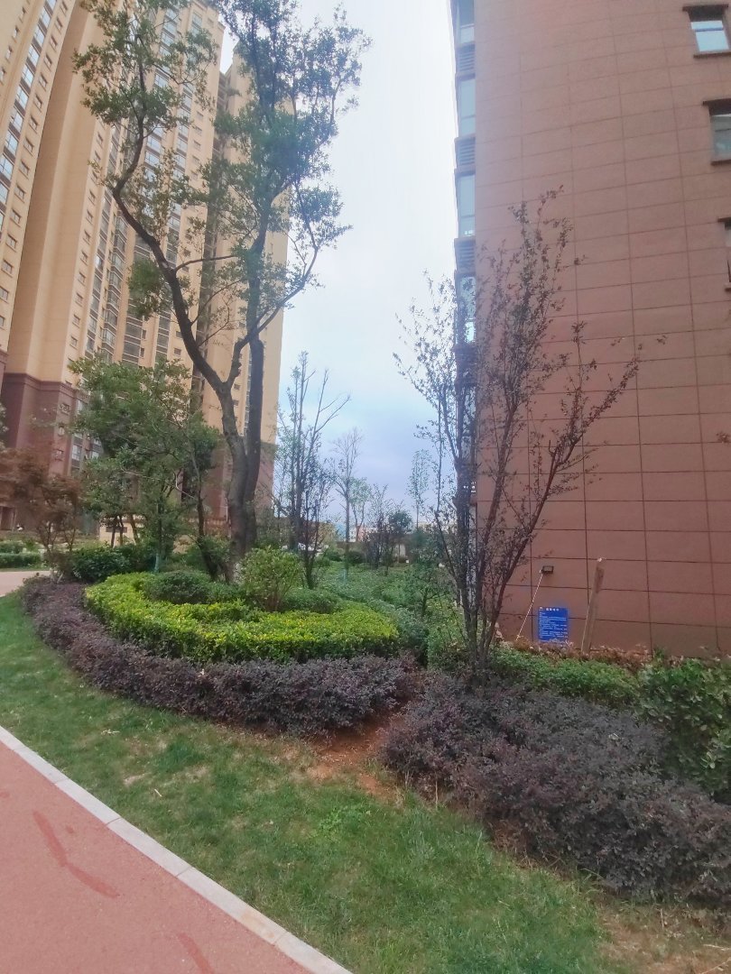 麒麟区西片区毛坯3室2厅2卫二手房出售14