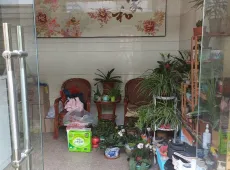 宝应县|泰山小学4室2厅2卫出售|买房租房佣金全返