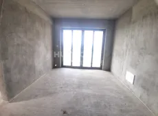 东兴区|邦泰大学城1号3室2厅2卫出售