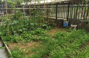 临沭盛世豪庭出售房源