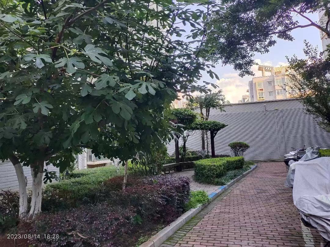 麒麟区东片区精装3室2厅1卫二手房出售11