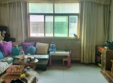新密市|府后街3室1厅1卫出租
