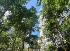 花都区|中房观湖国际3室2厅2卫出售|买房租房佣金全返