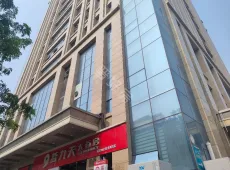 城区|华都国际2室1厅1卫出租