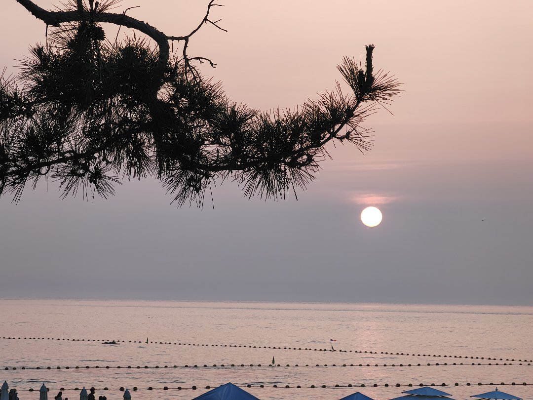 海信海景壹号,国际海水浴场，火炬八街，海信海景壹号，一线海景房17