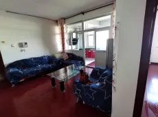 城区|金山城市花园1室1厅1卫出售|买房租房佣金全返
