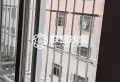 金港大道，港中花鸟，古玩市场，大单间价格便宜，近吾悦广场8
