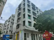 高州市|一中教师村4室2厅2卫出租