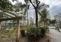 上五层半，顶楼带花园10