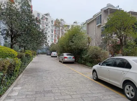 凤凰水榭-麒麟区西片区迎霞路