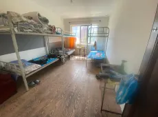 香坊区|悦然臻城2室1厅1卫出租