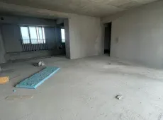 漳河新区|半山观云4室2厅3卫出售