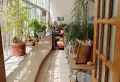 市中心麒麟巷，北关校门口，楼层好9