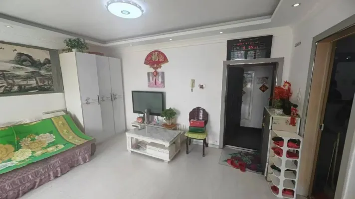 小户型市中心房照满五