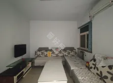 城区|东后河小区3室1厅1卫出租