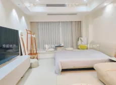 望城区|正荣财富中心1室1厅1卫出售