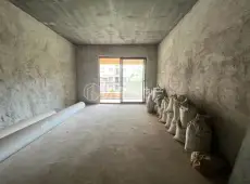 容县|吉营首府5室2厅2卫出售
