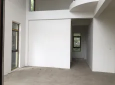 峨眉山市|峨眉山与湖4室3厅5卫出售|买房租房佣金全返